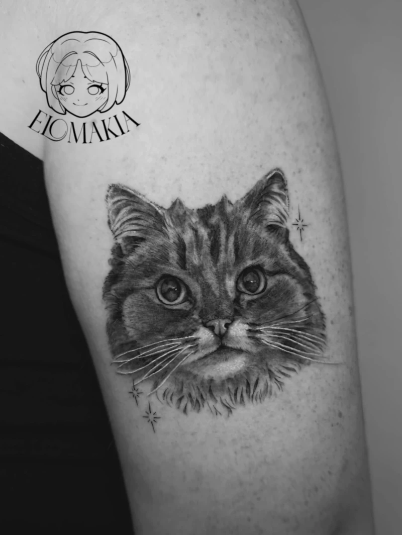 Cat Tattoo
